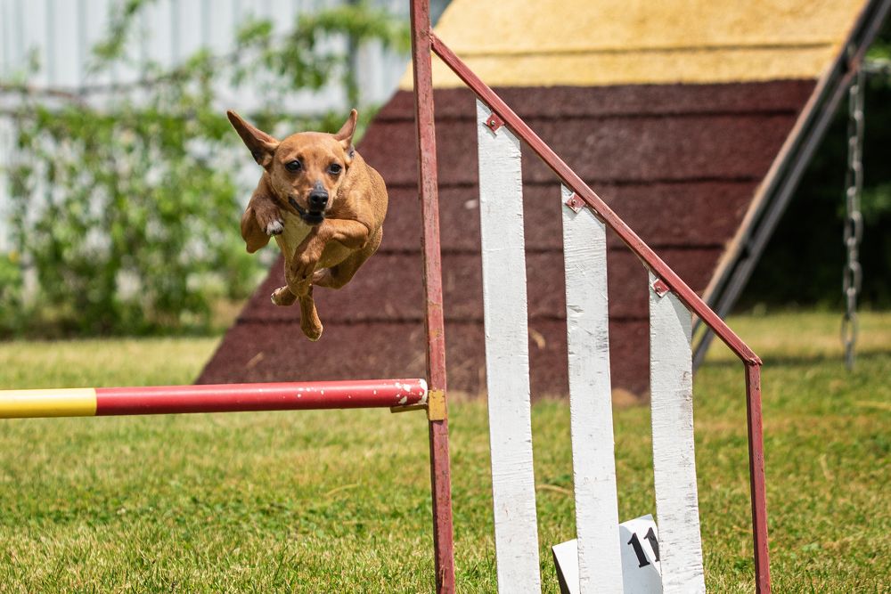 Photograph by наталья залогина