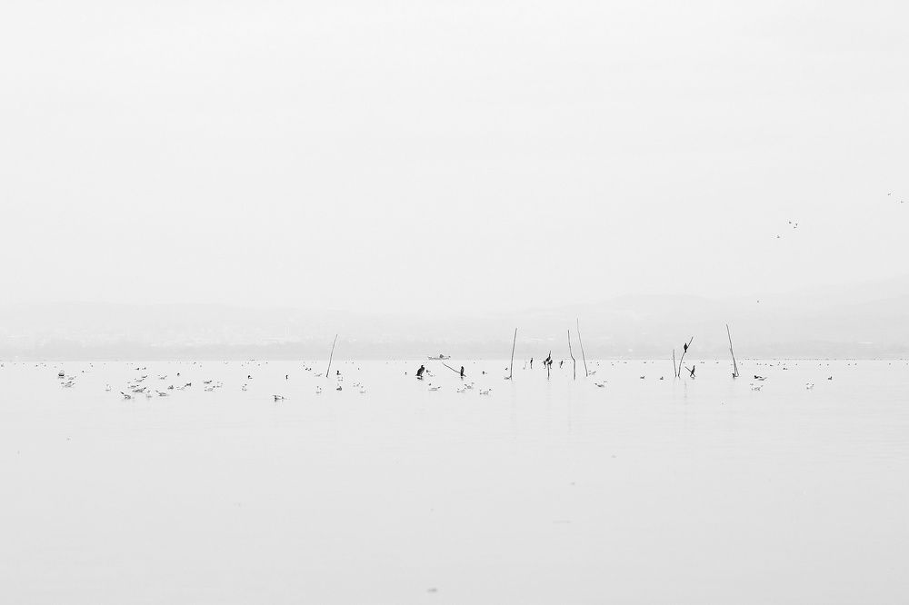 Photograph by Nurlan Tahirli