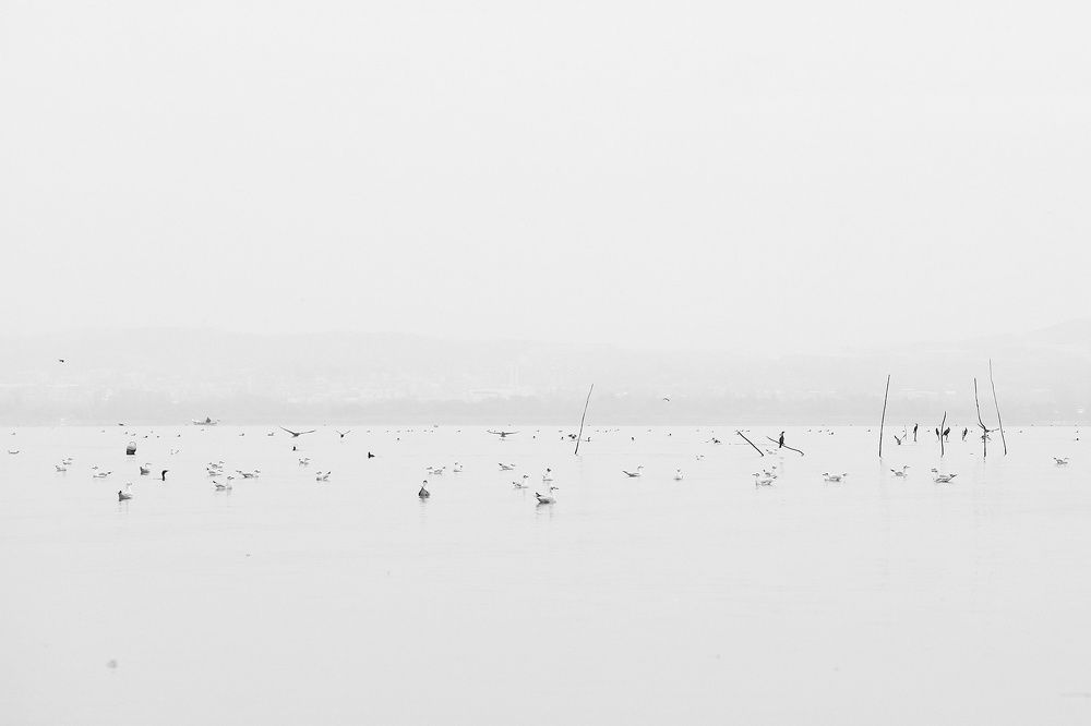 Photograph by Nurlan Tahirli