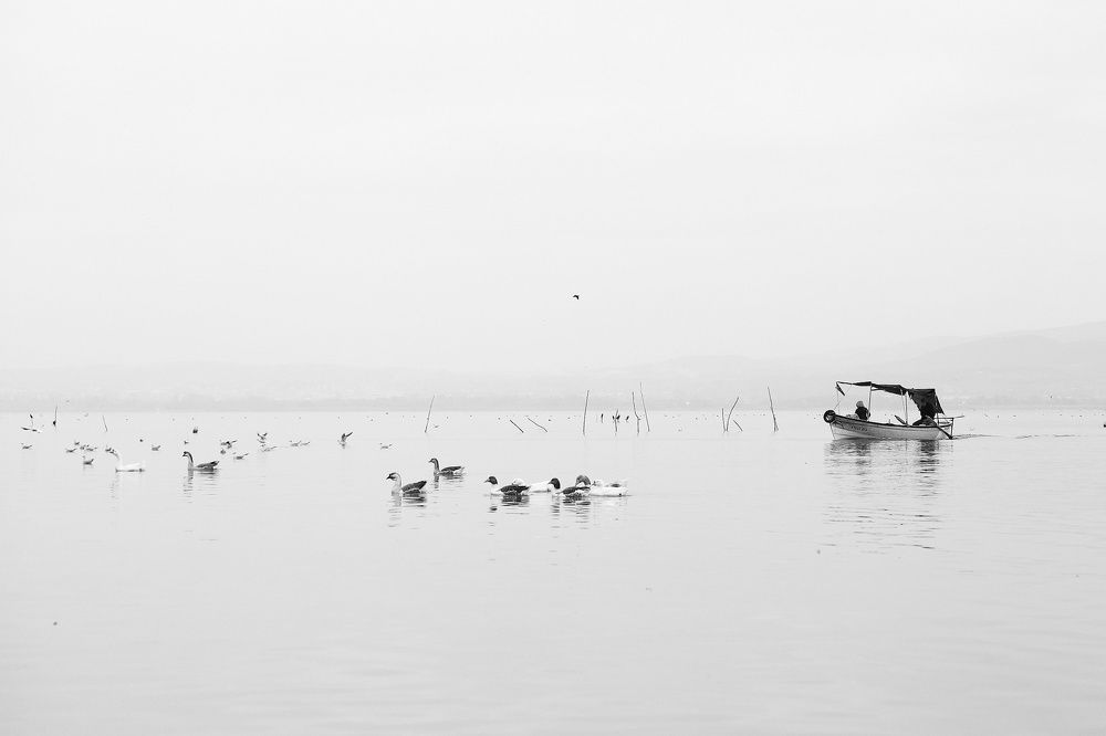 Photograph by Nurlan Tahirli