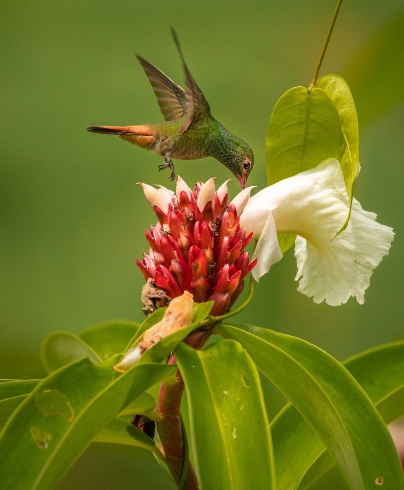 Photograph by Ricardo Ferreira