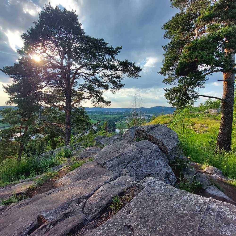 Photograph by елена Шкилевич