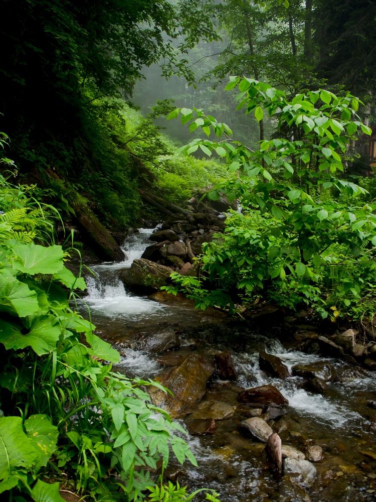 Photograph by Алена Алалыкина