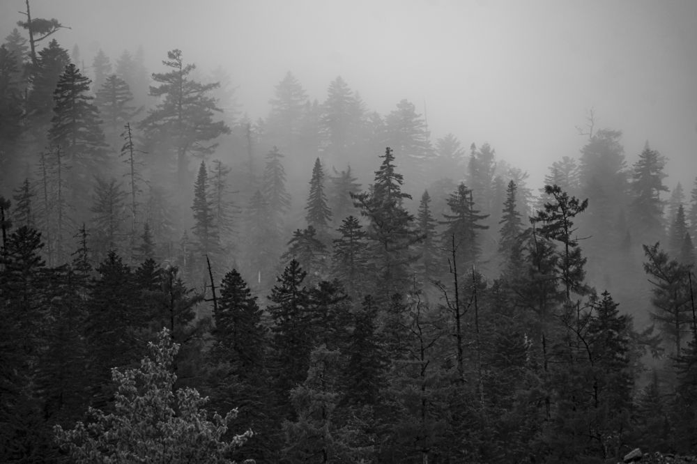 Photograph by 