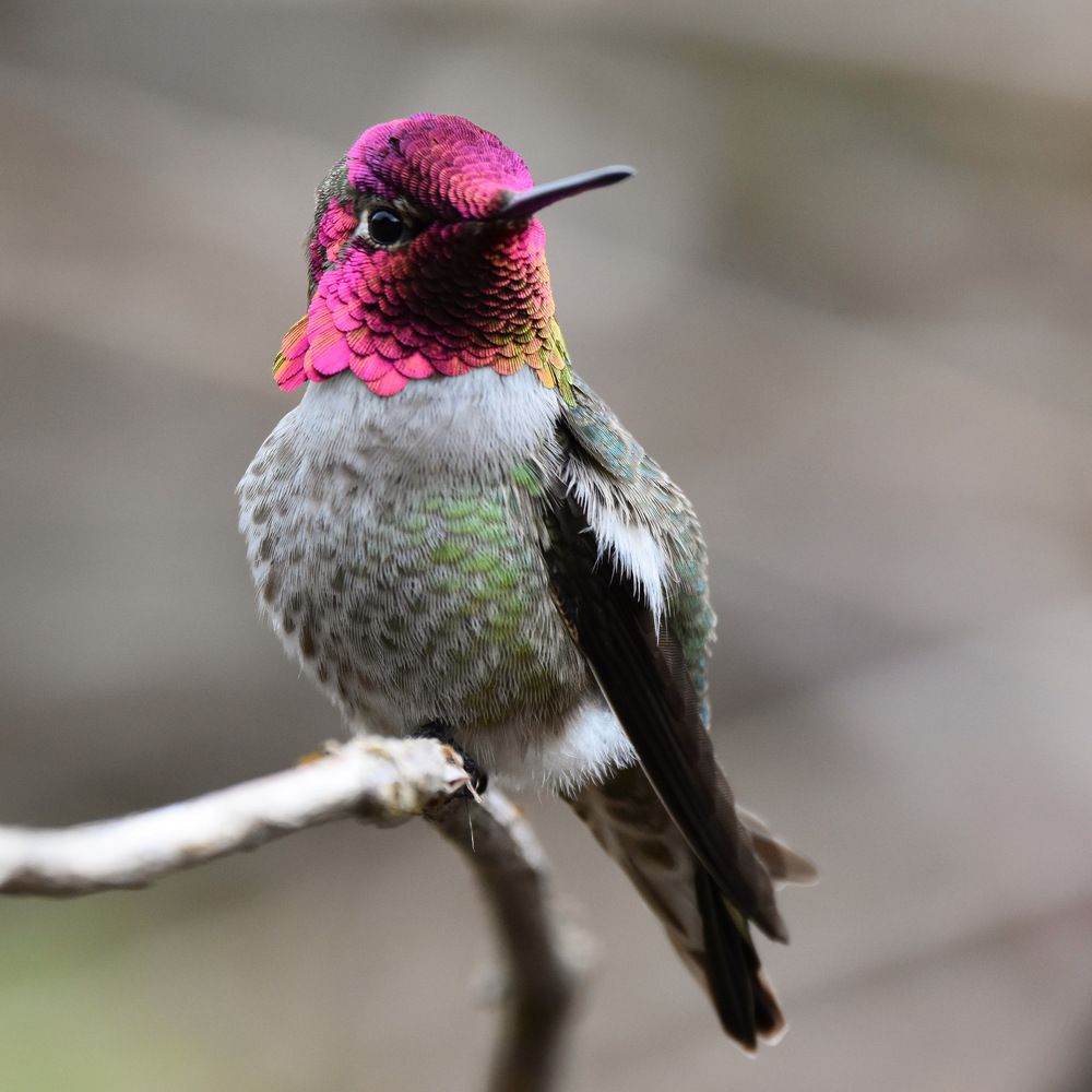 Photograph by Brittni Panter