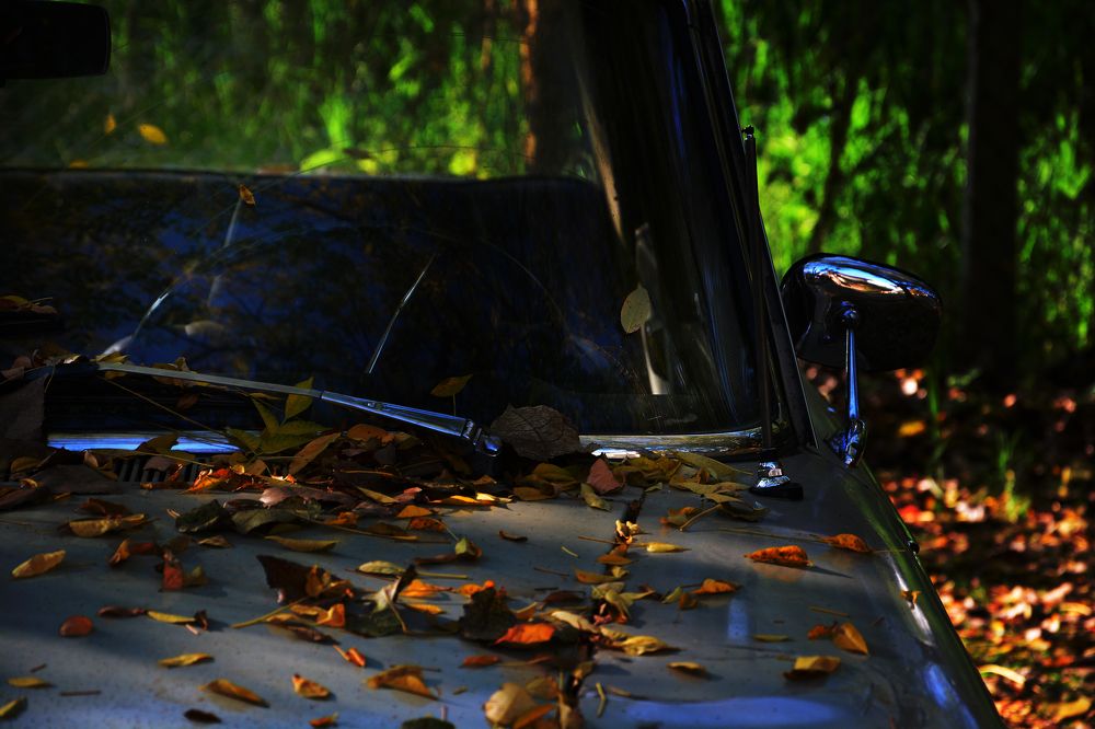 Фотография автора Daniel A. Pérez