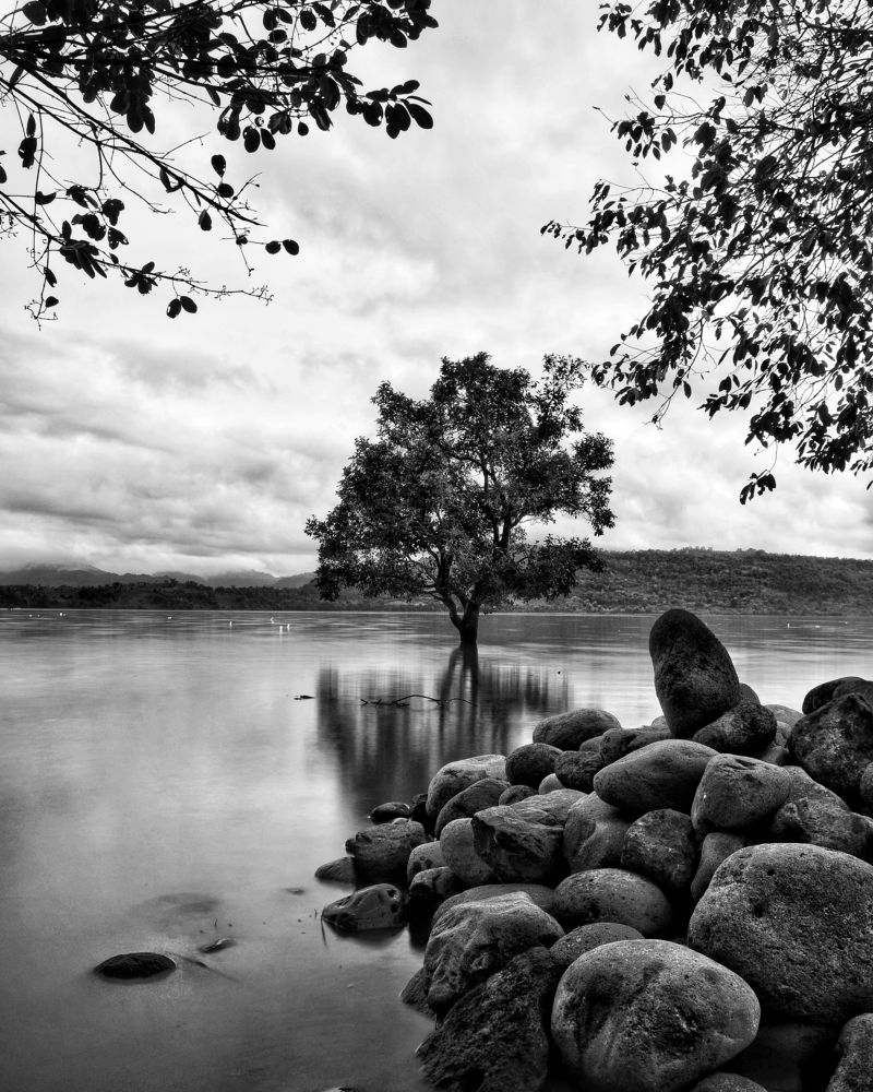 Photograph by Agustini Tandean