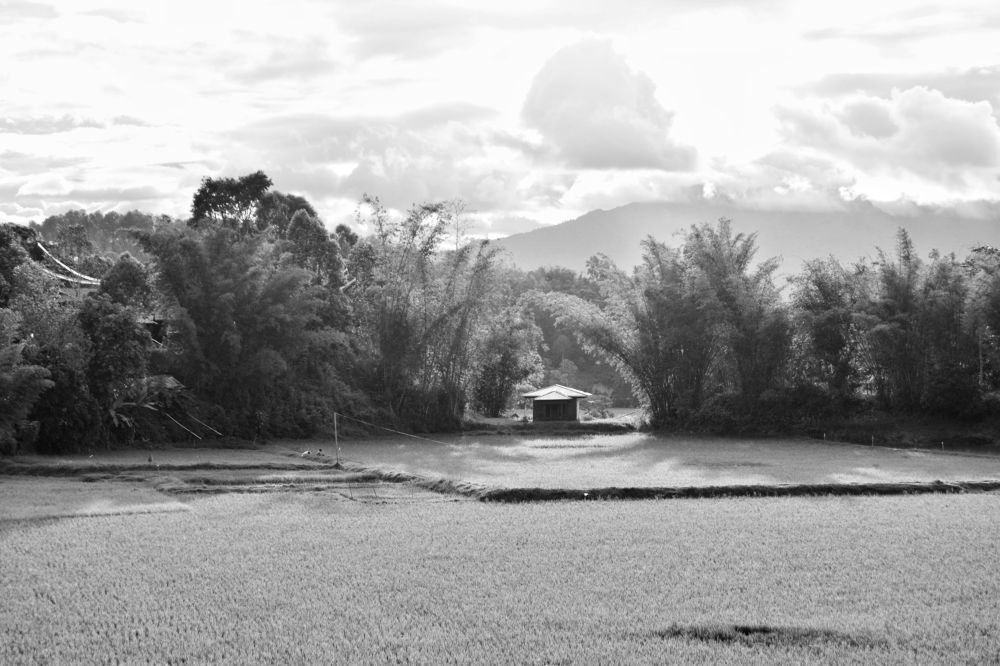 Photograph by Agustini Tandean