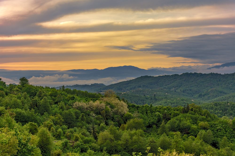 Где поет душа