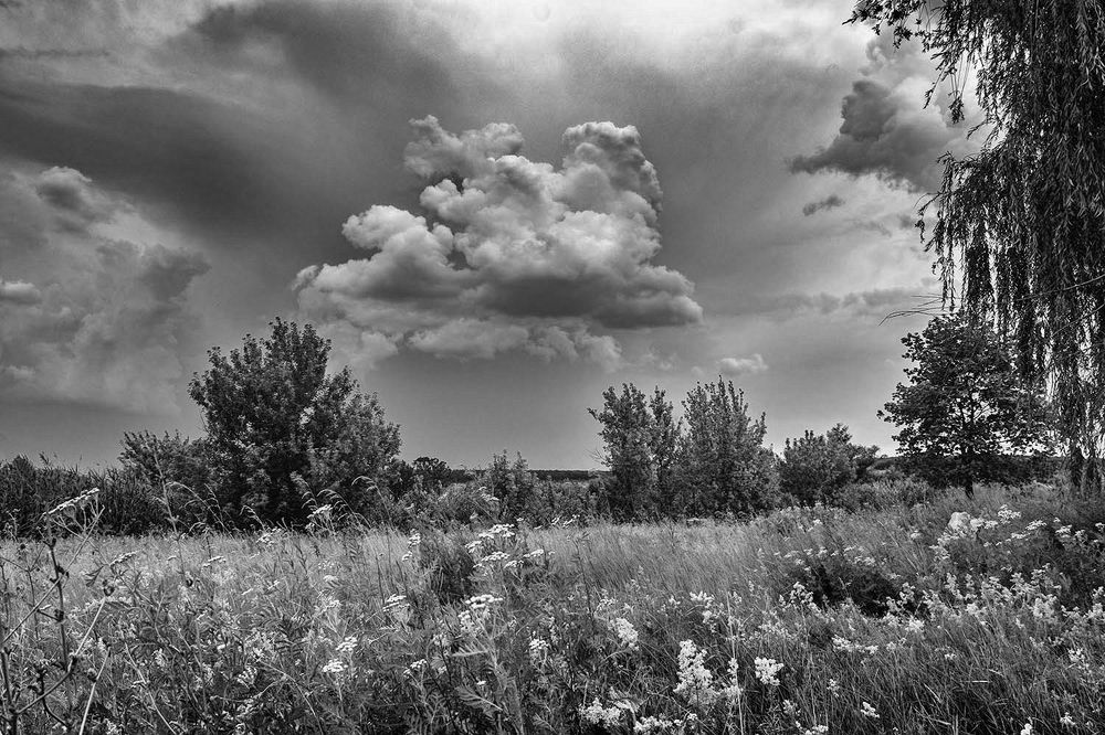 Photograph by Сергей Епишев