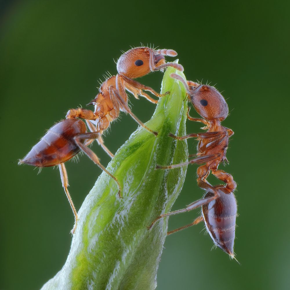 Photograph by Chen-You Li