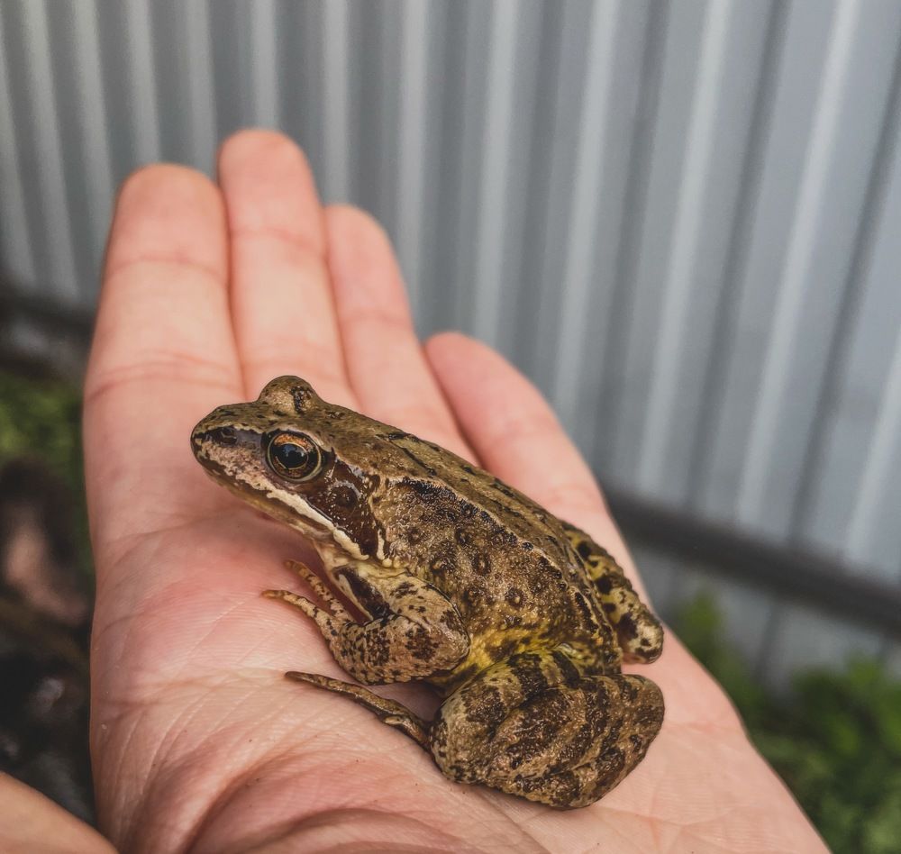 Photograph by Лада Сартакова