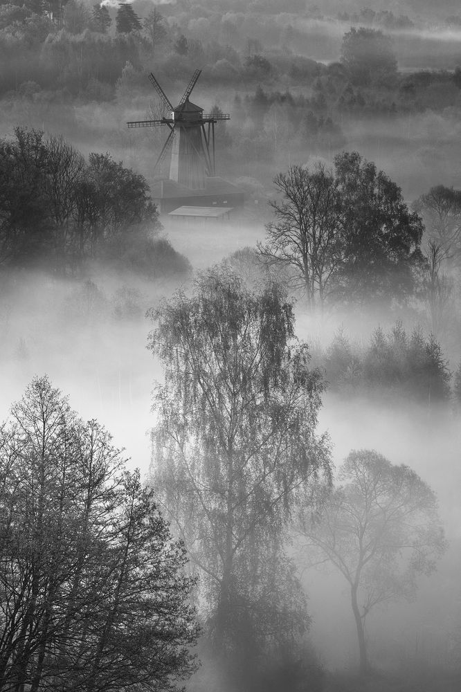 Туманное утро