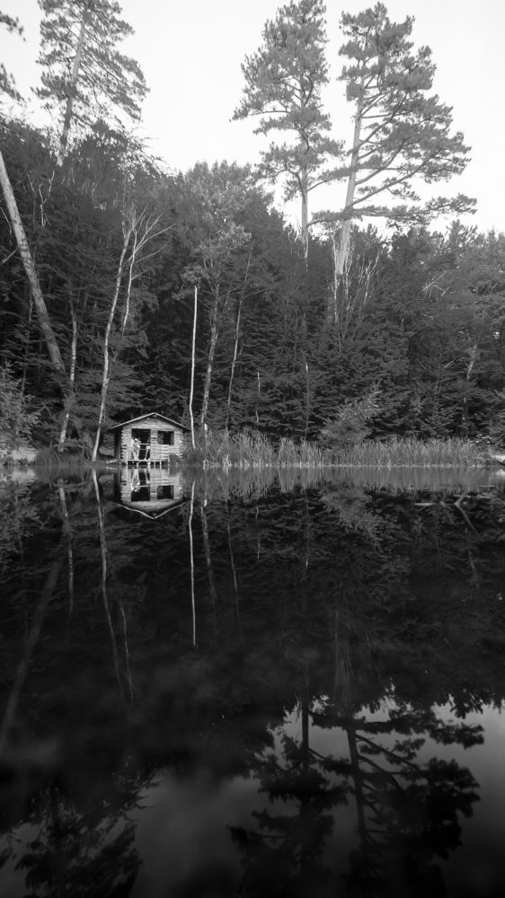 Photograph by Фримэн Андрей