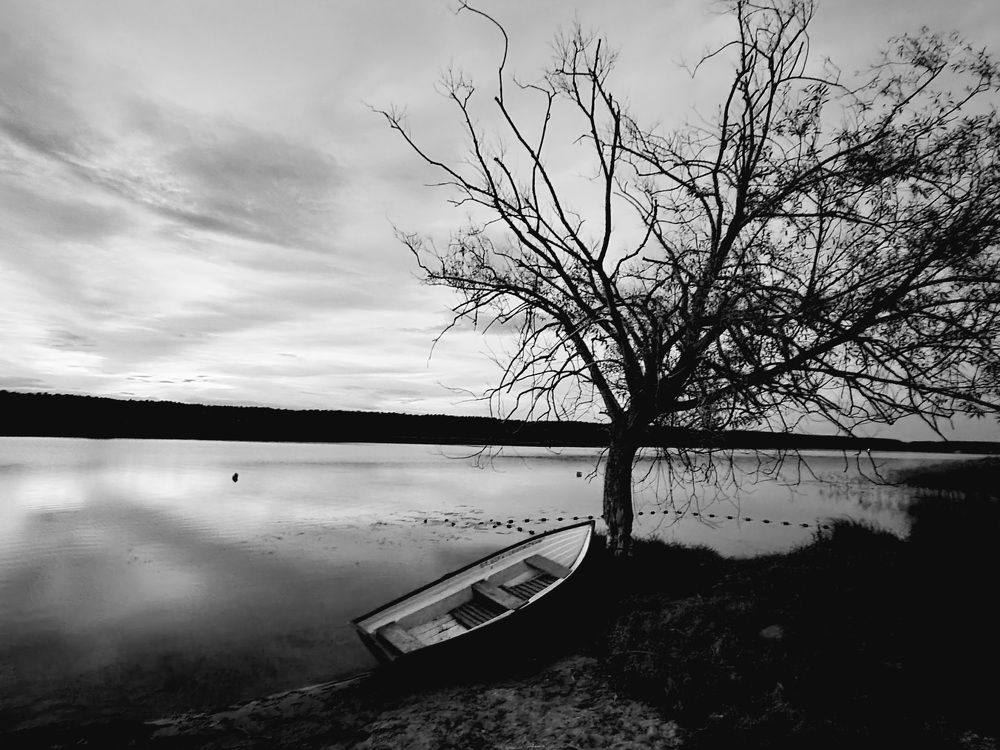 На сонном бреге