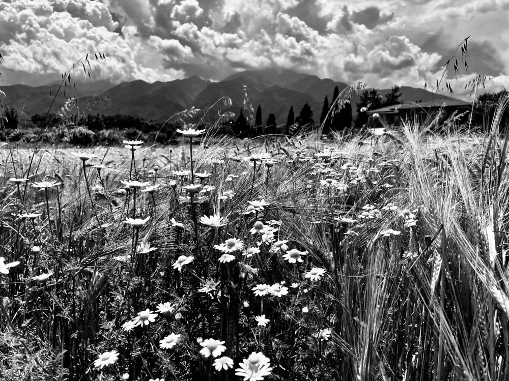 Фотография автора kozheka