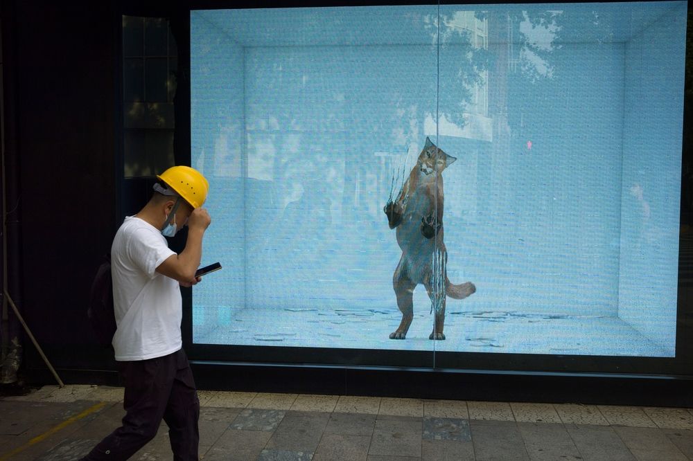 Photograph by Yue Qiu