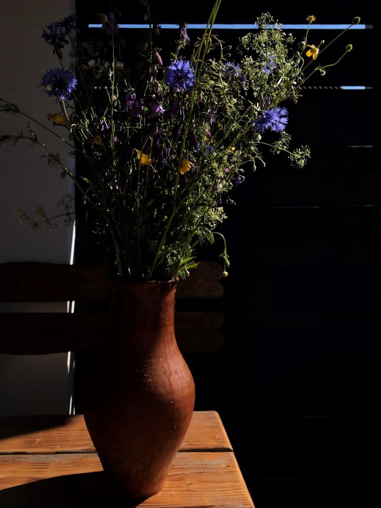 Photograph by Елена Никитенко