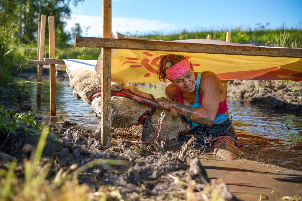 Фотография автора Ирина Ивановна