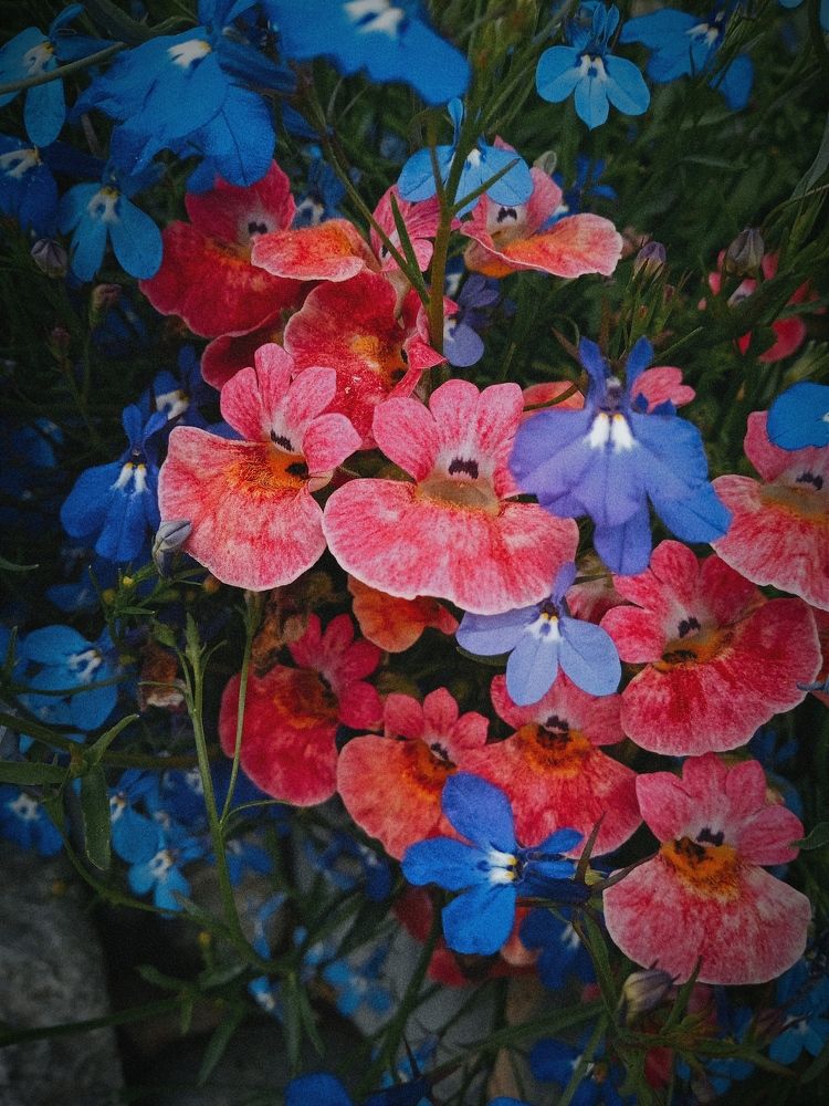 Photograph by Нина Мехнина