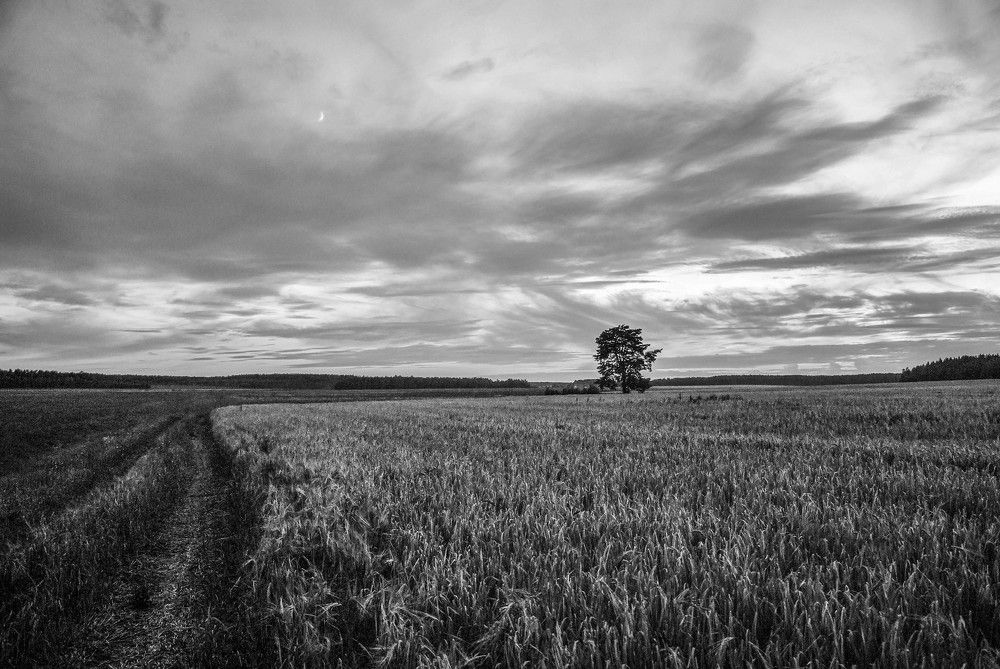 Фотография автора Александр Буренко