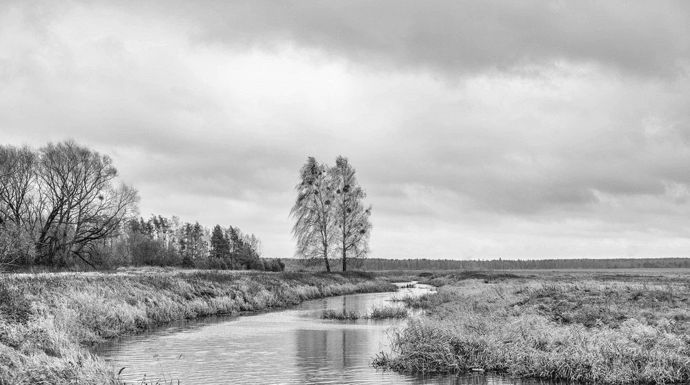 Фотография автора Александр Буренко