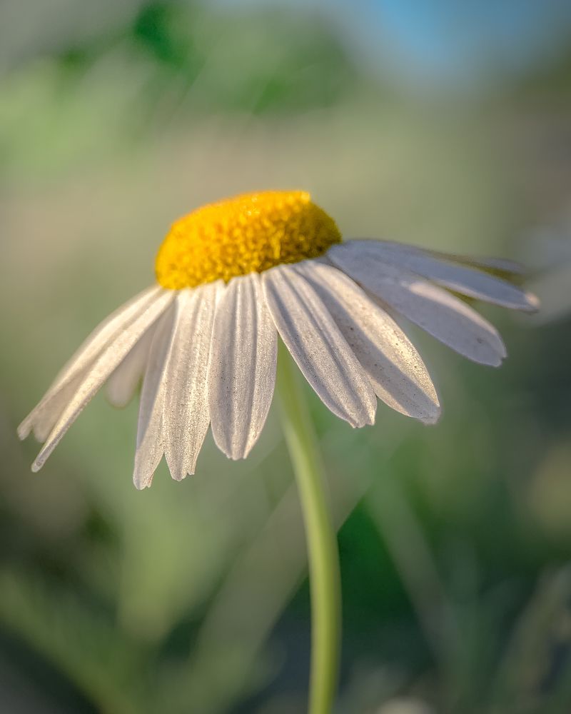 Photograph by Татьяна Гринько