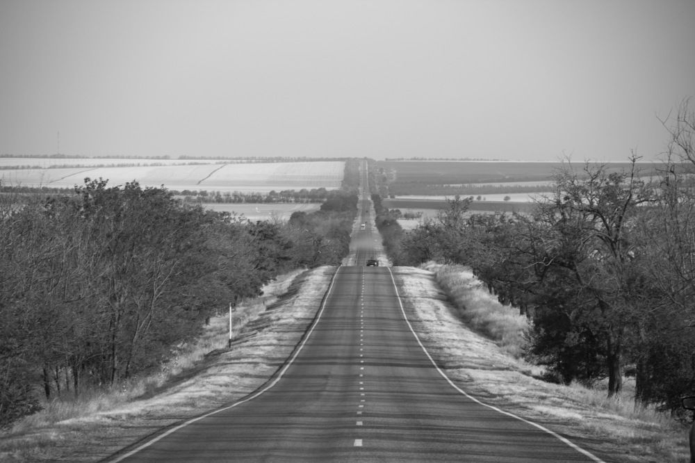 Photograph by Алёна Дёмочкина