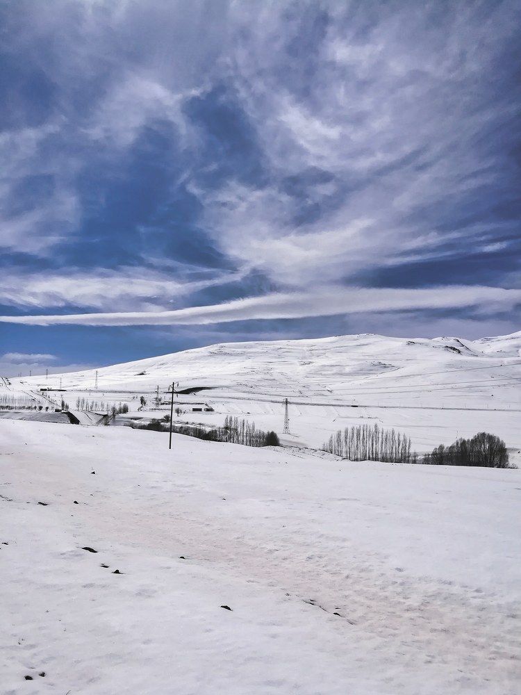 Photograph by Arash Hashemi