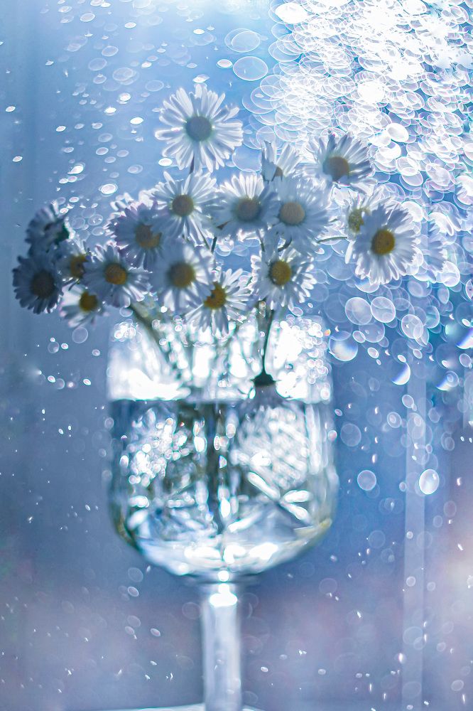 Photograph by Ольга Резникова