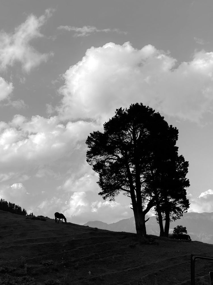 Photograph by Наталья Лебеденко