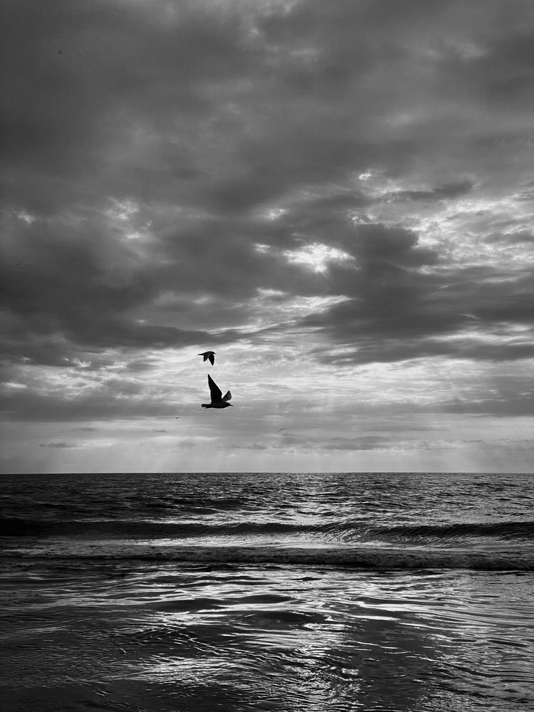 Фотография автора Александр Заикин