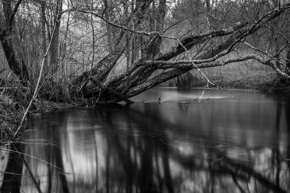 Photograph by Алексей Худяков