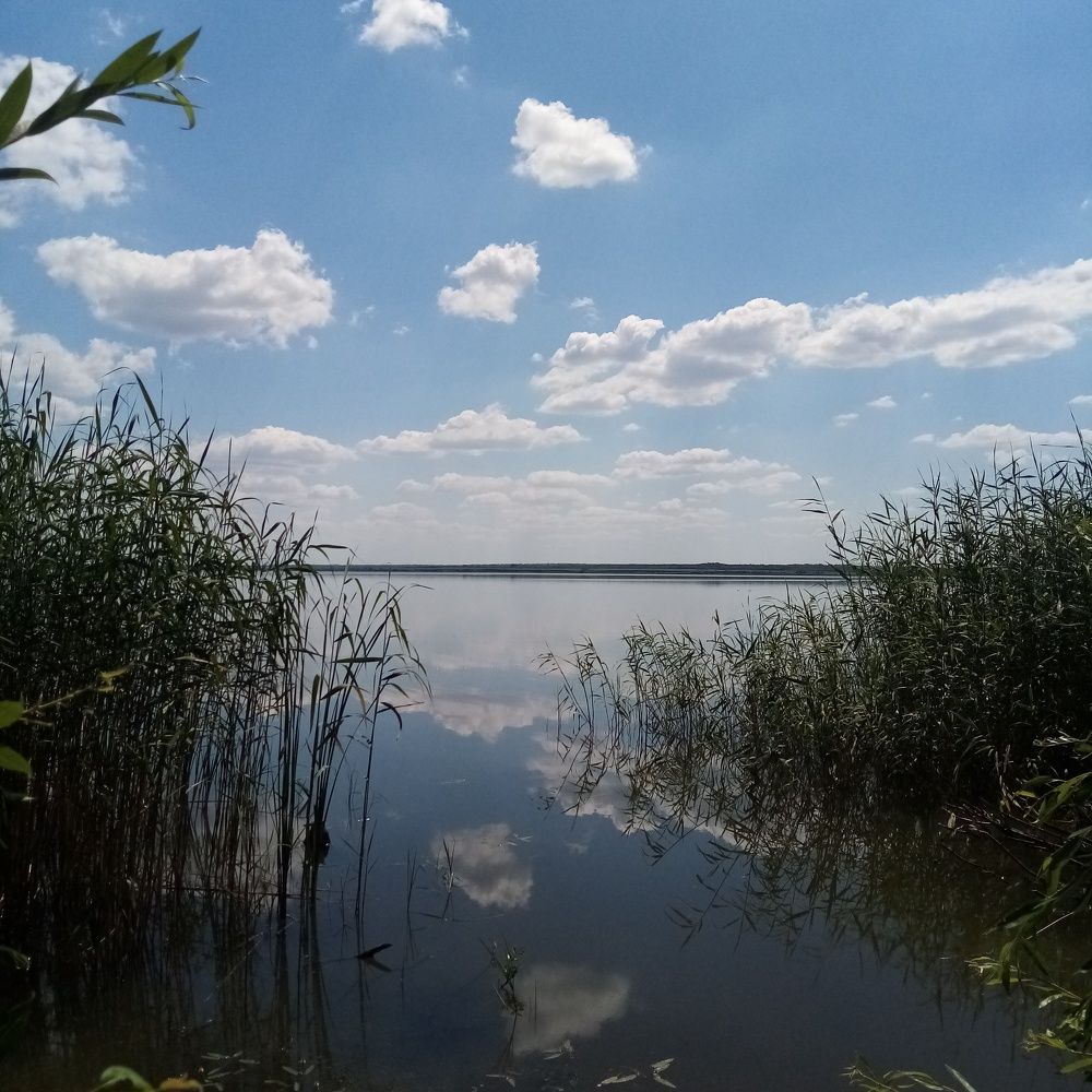 Photo #7810717