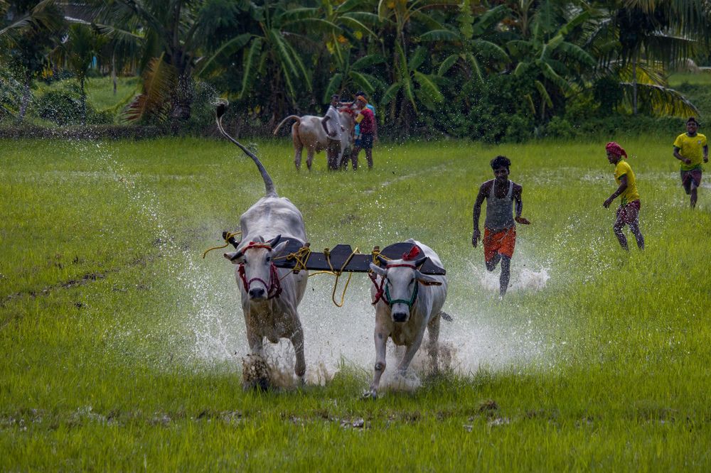 Photograph by Shameek Mukherjee
