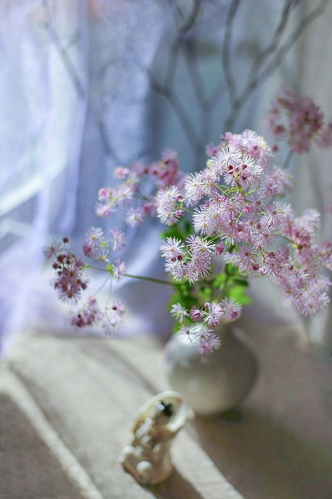 Ветер, открывший ставни.