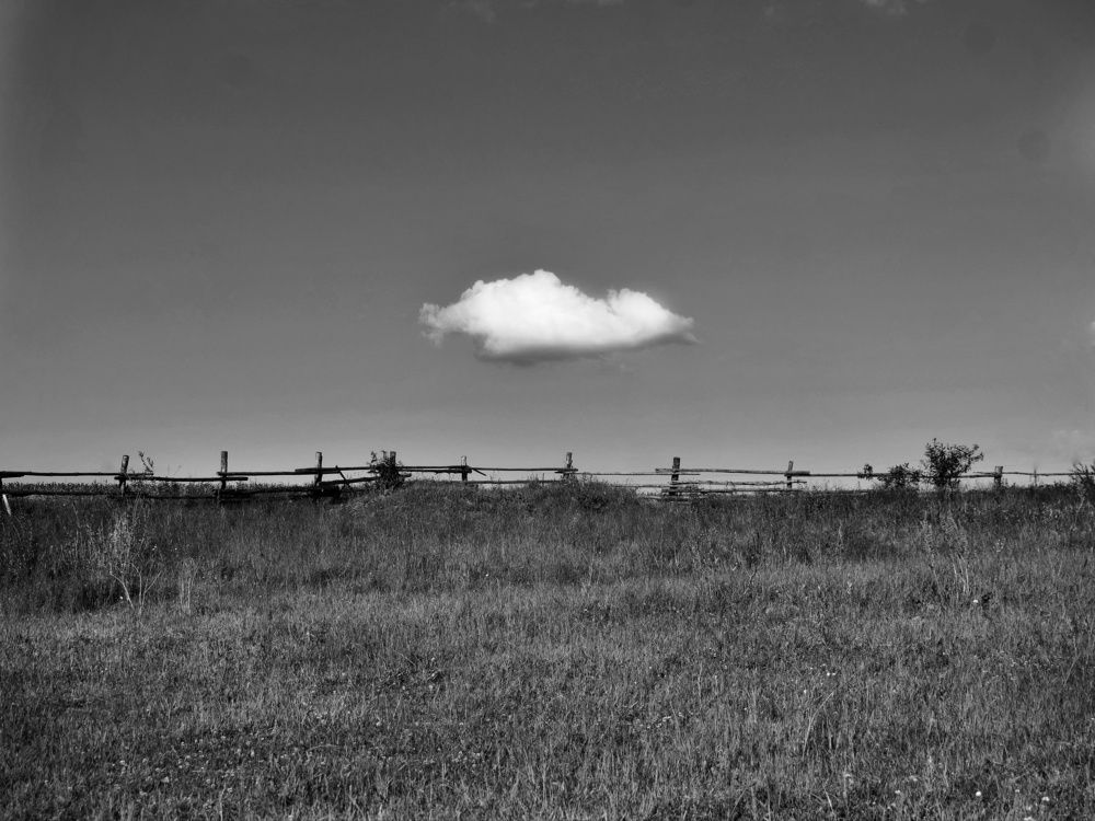 Photograph by Алеся Цеван