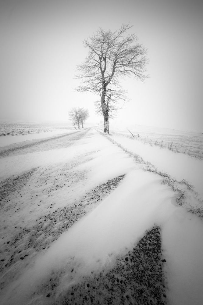 Photograph by Luboš Prchal