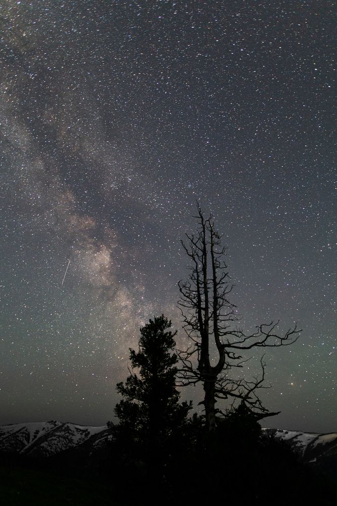 Photograph by Анна Дубровская