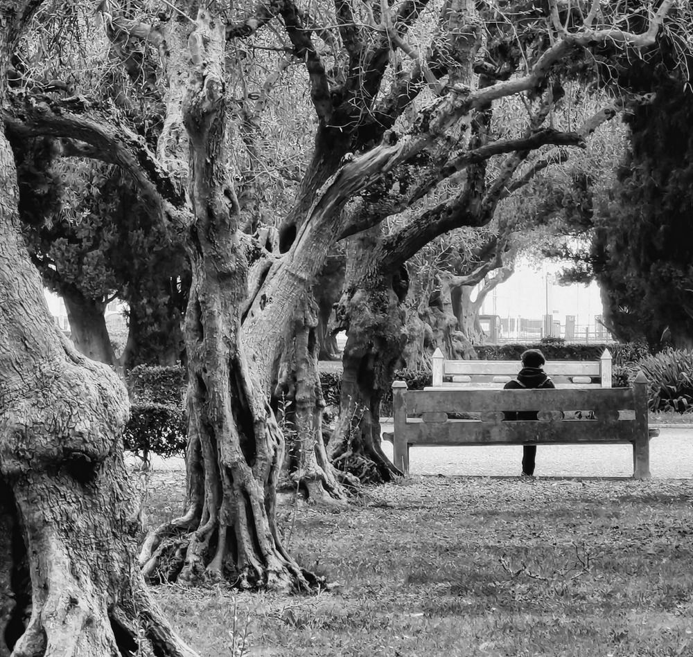 Photograph by Teresa Guerreiro