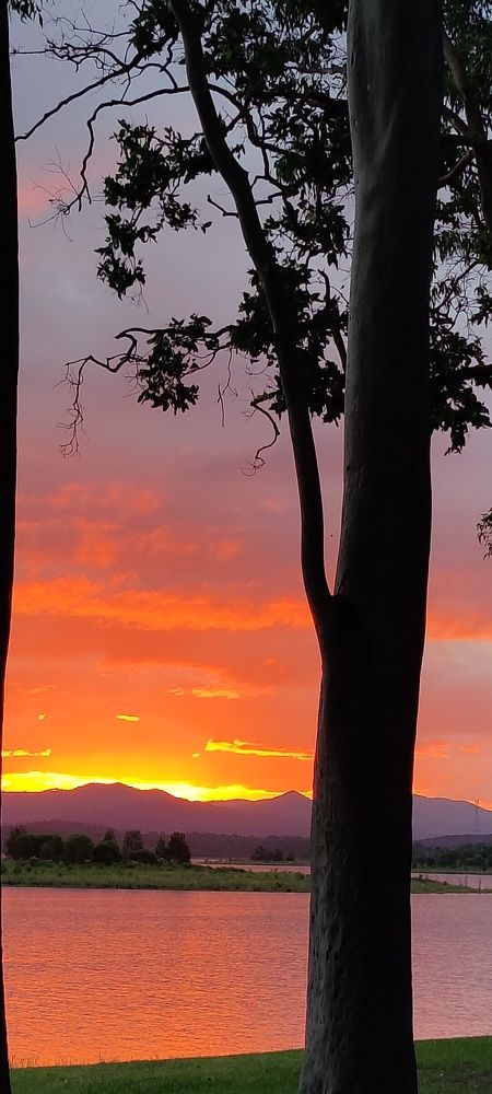 Photo #7810828