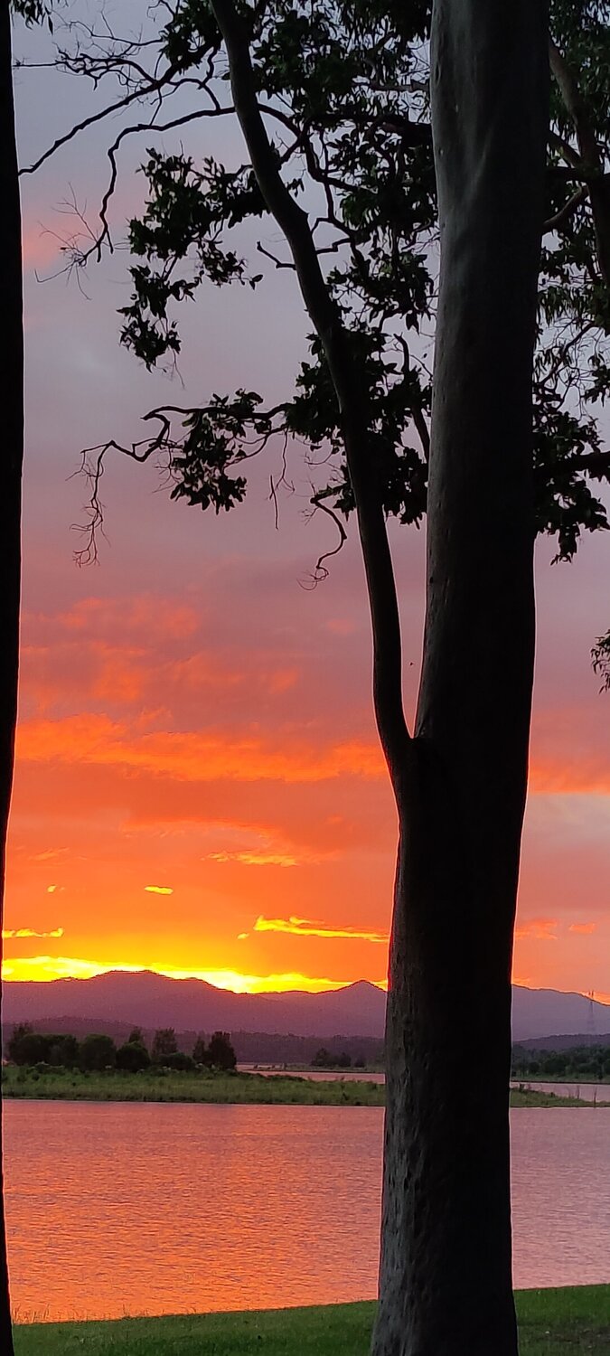 Photo #7810828