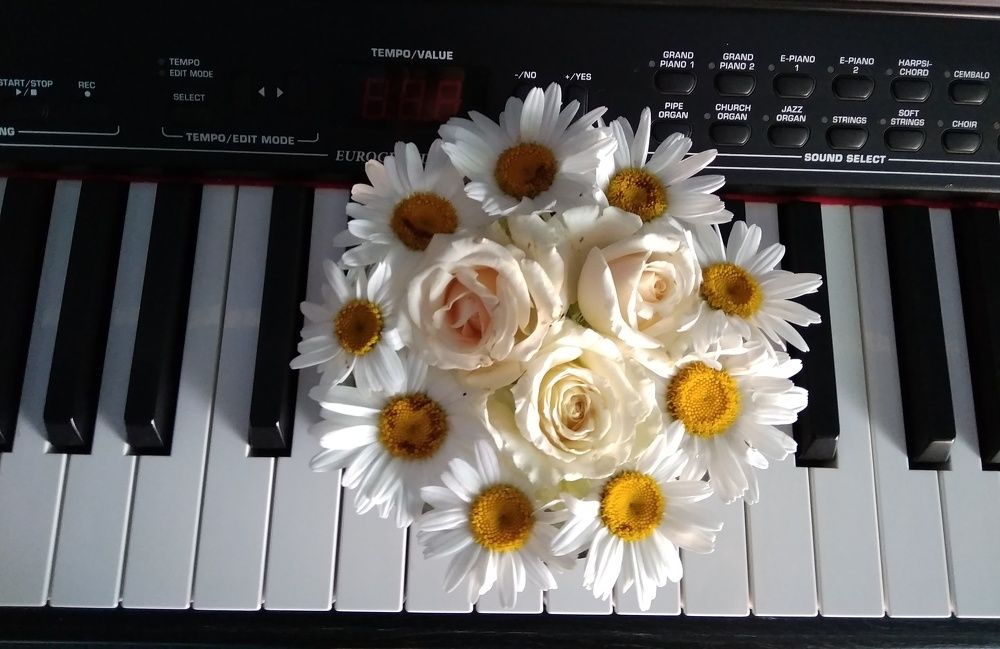 Photograph by Irina Zorina