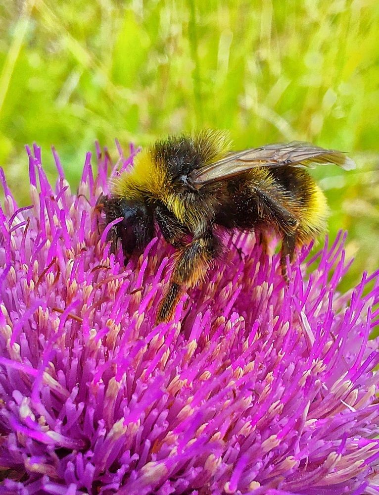 Photograph by Александр Бакин