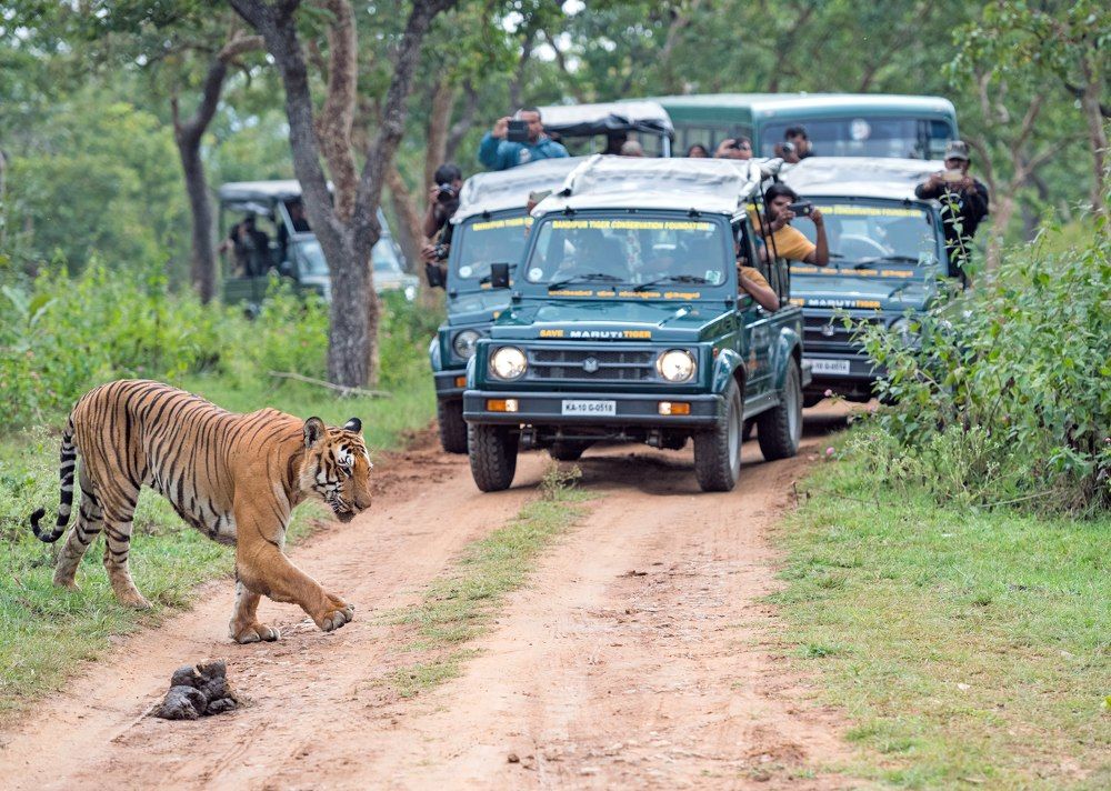Photograph by Ranjith Kumar