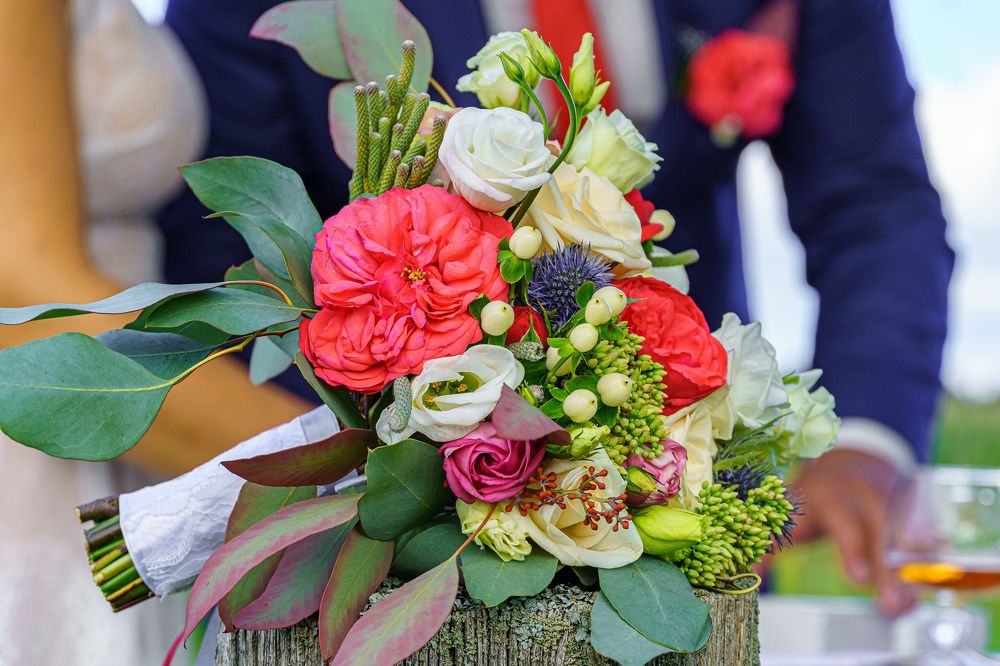 Photograph by Valdis Serzhans