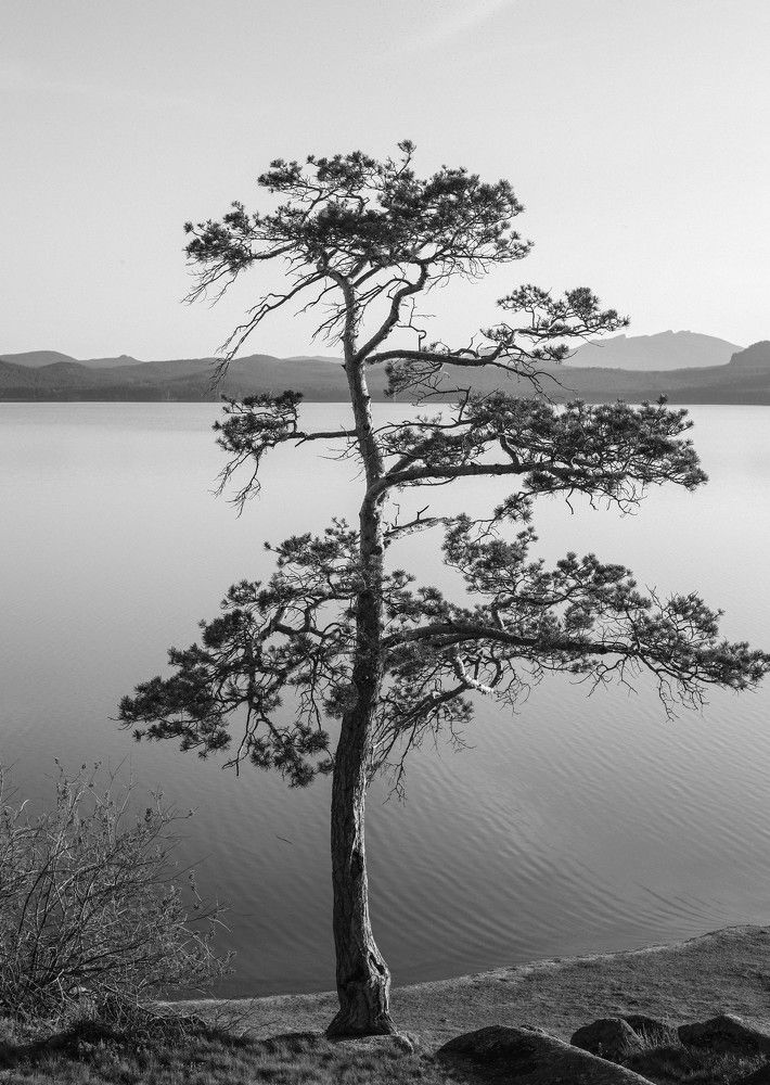 Фотография автора KattyFox