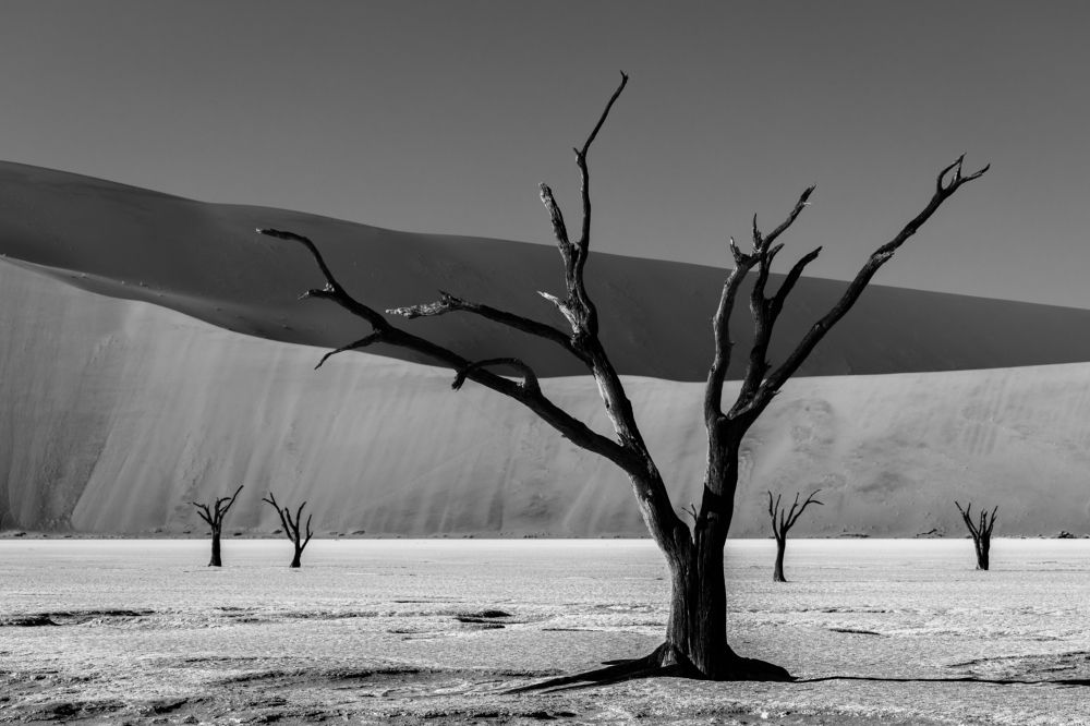 Photograph by Bevzenko Roman