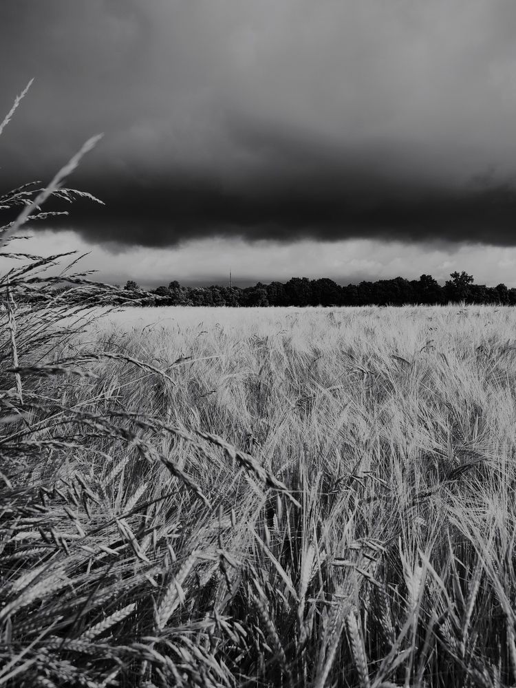 Photograph by Katsiaryna Sazonava