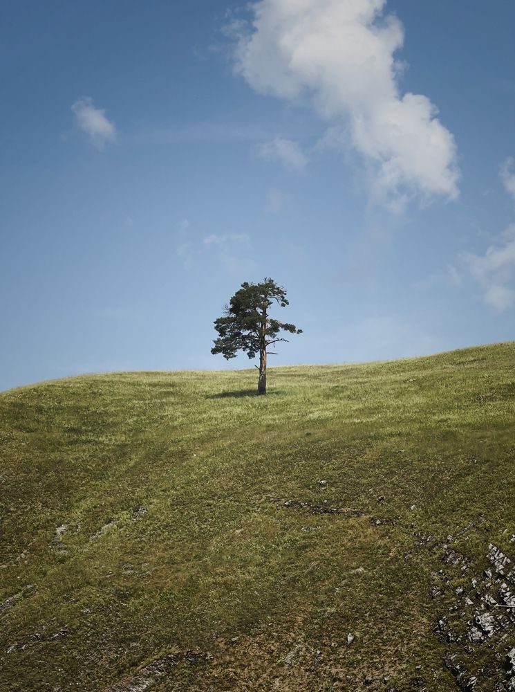 Photograph by Александр Ранчин